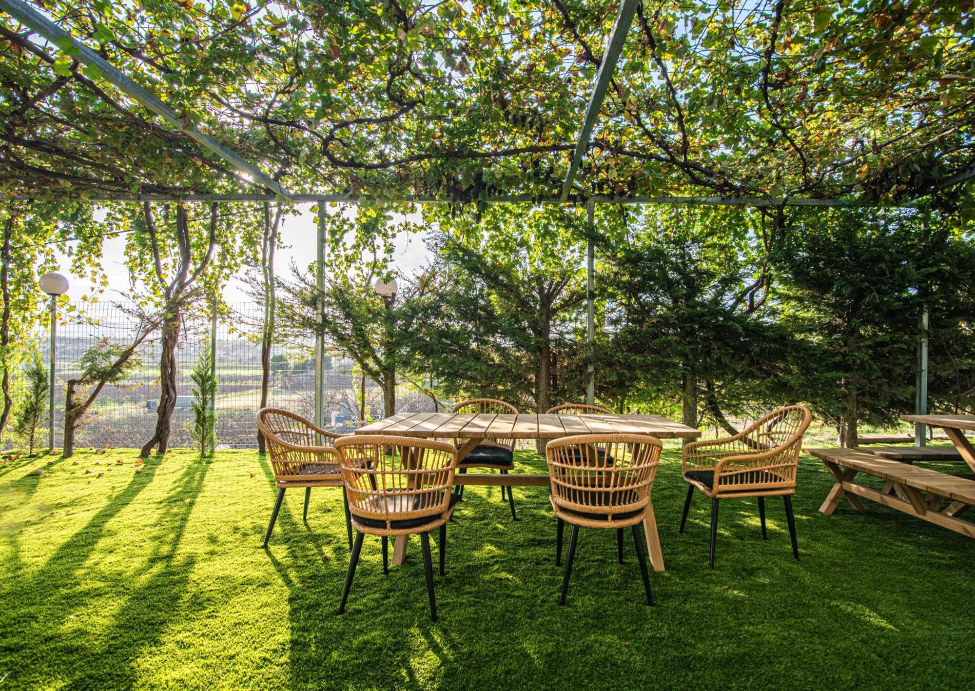Iviskos Apartment Oinofyta Экстерьер фото